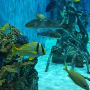 Meet your Posher, Teresa